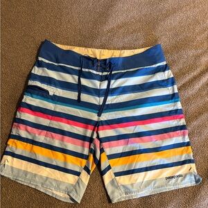 Men’s Size 34 Patagonia Blue Striped Swim Shorts